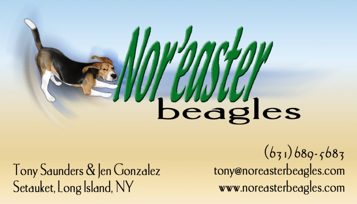 Nor'easter Beagles